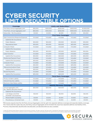 Cyber Security Limit and Deductible Options Sell Sheet